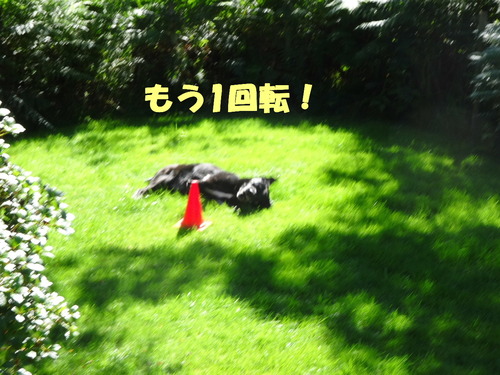 DSC03567