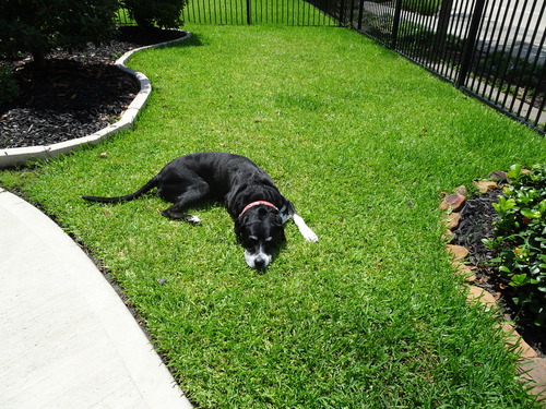 2018_0705(004)のコピー