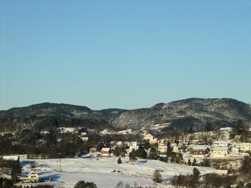 DSCF3007
