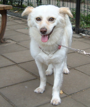 2003_0619AE