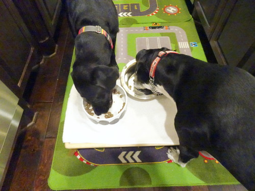 2018_0701(008)のコピー