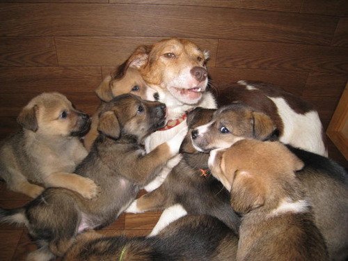 img_1205301_35637791_9[1]