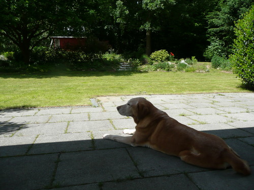 2009_0528(002)