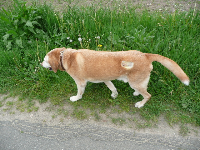 8757366f.jpg