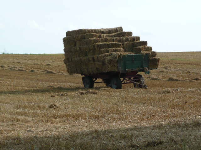 8b6cbf87.jpg