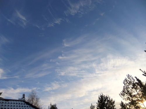 DSCF9265