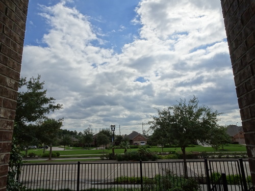 DSC00603