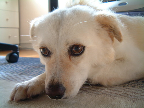 2003_0604AD