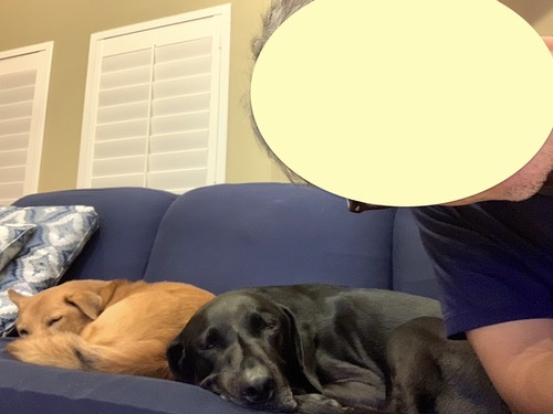 S__273981443のコピー