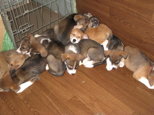 img_1205301_35670211_4