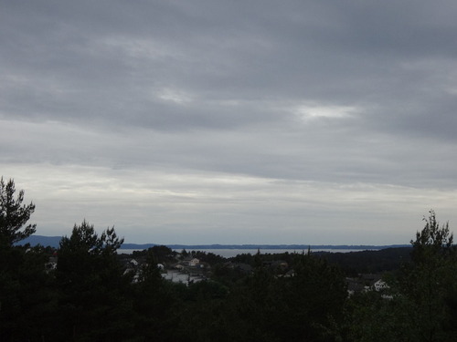 DSC00271