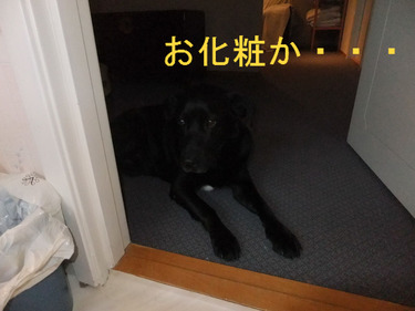 BlogPaint