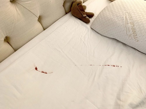 66862752852__C6779810-B6EE-4170-9998-B4723D1A936E