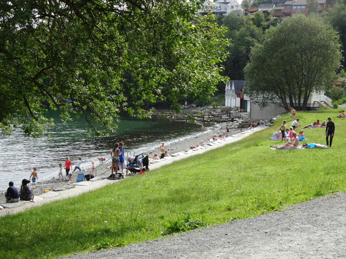 DSC03391