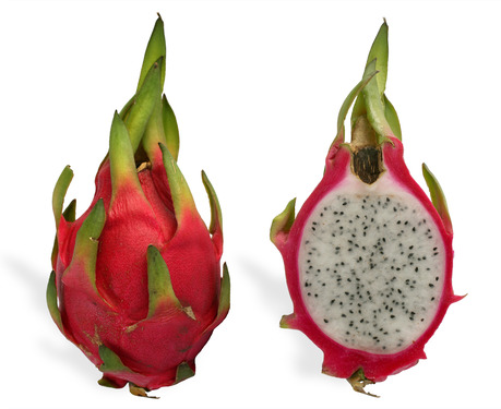 Pitaya_cross_section_ed2