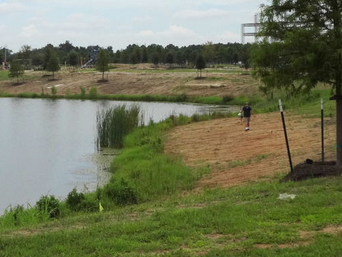 bayou