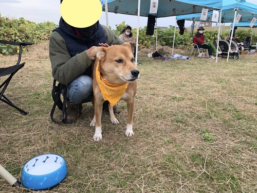 IMG_9466のコピー