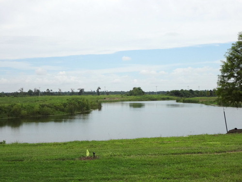 DSC05351