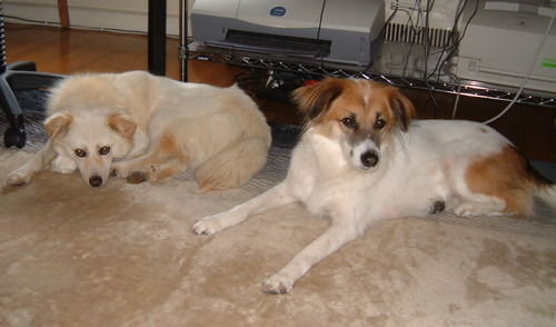 2003_0528AD