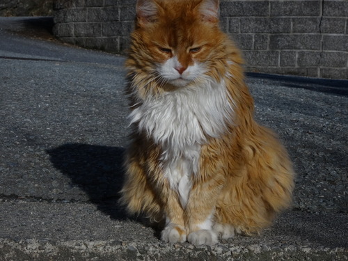 DSC04566