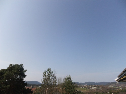 DSCF9599