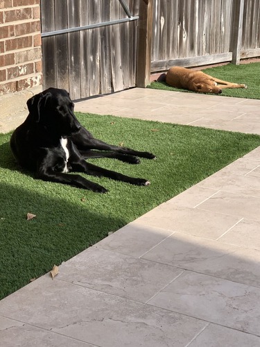 IMG_1063のコピー