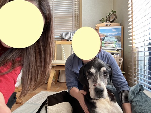 IMG_2615のコピー