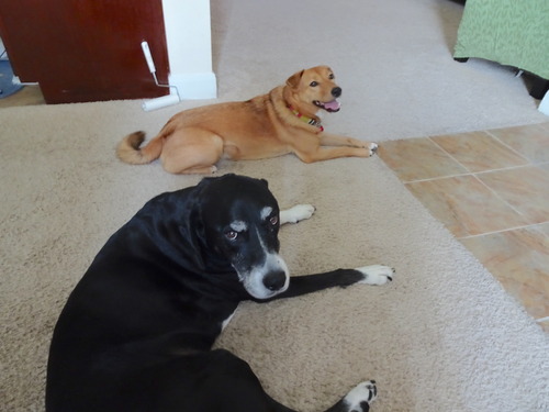 2018_0611(003)のコピー