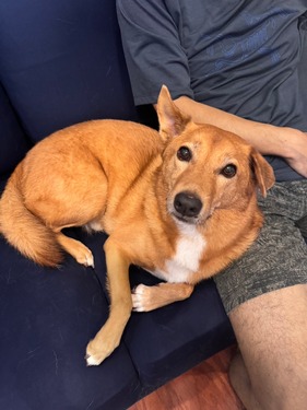 LINE_ALBUM_Storm_Tass 1019-1120 2024_241027_6