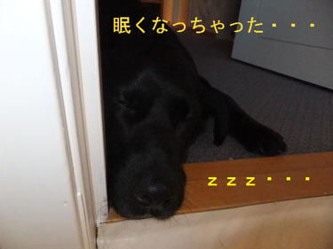 BlogPaint