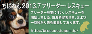 2013BR_320x120
