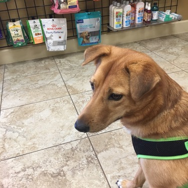 58197249757__A6C5AAC2-A2E2-4F34-BC57-ECE85A7EDFD8