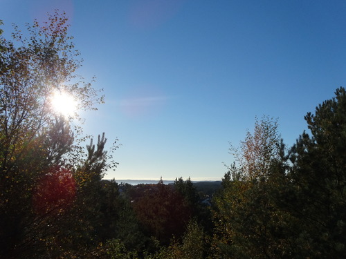 DSC03958