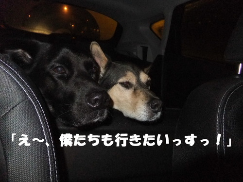 DSCF9091