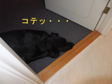 BlogPaint