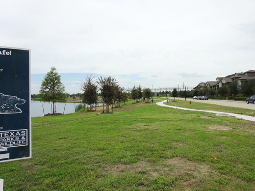 DSC05353