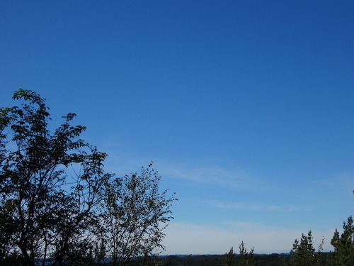 DSC00681