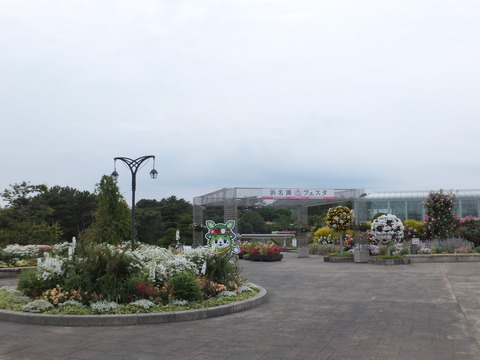 DSCF7551