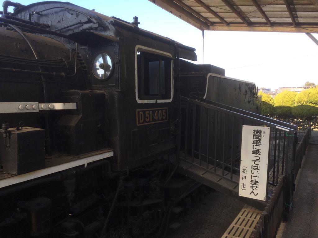 交通 公園 ユーカリ
