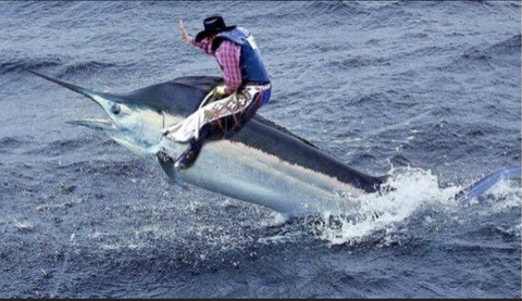 4CED3C74-9417-414A-8537-5F5286D0124E