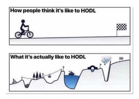 43C8F894-8517-41FC-A946-015A45608EAE