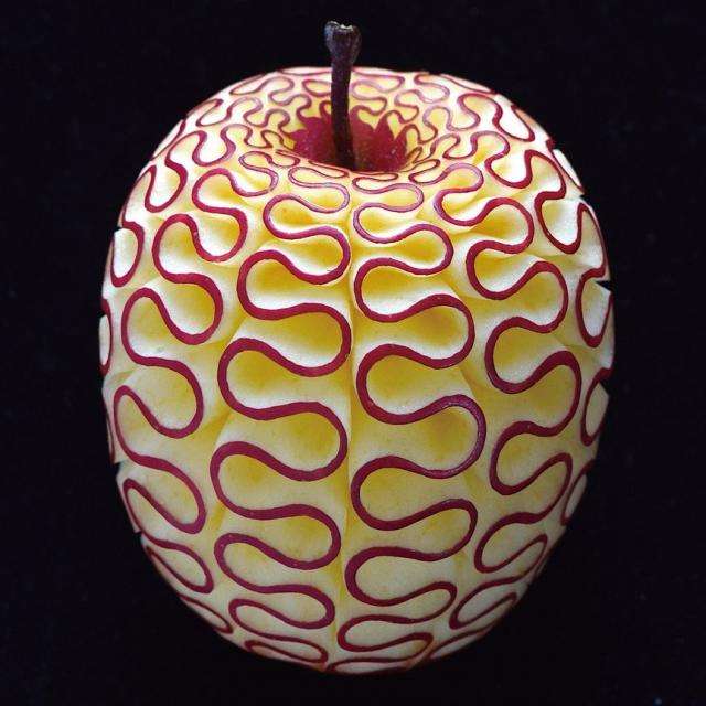 ワンピースの悪魔の実 集合体恐怖症の方は閲覧注意 蜘蛛の糸 Kei Tomo With A