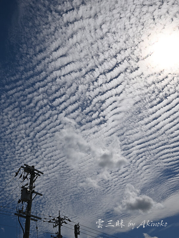 非常に大規模で美しい波状雲 : 雲三昧 -雲と空の記録と独り言-