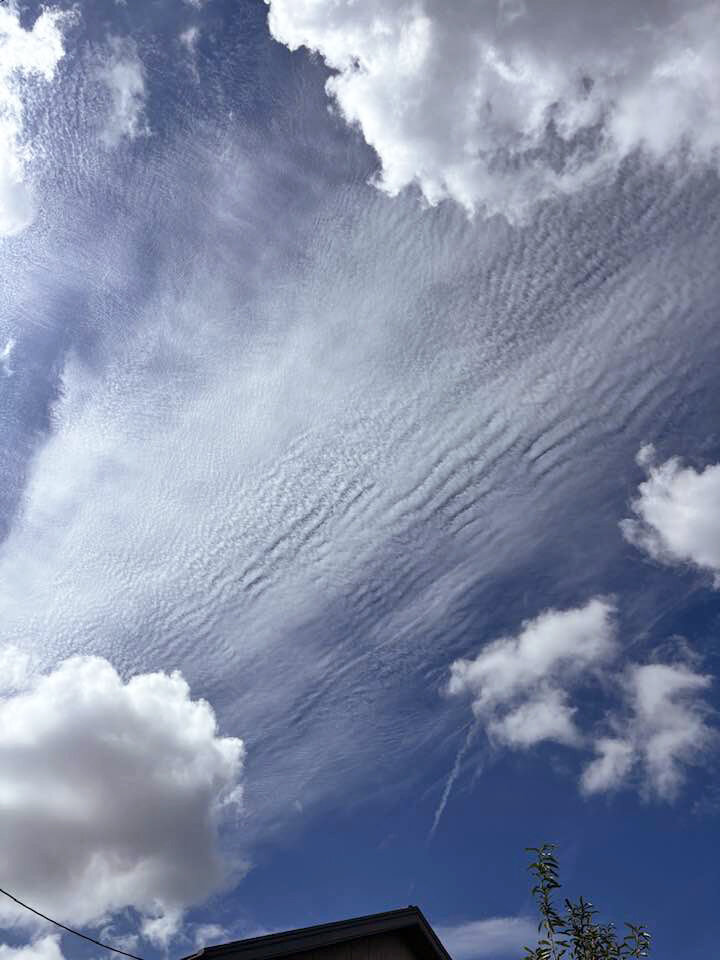 イマソラ：積雲の隙間から覗く巻積雲の波状雲 : 雲三昧 -雲と空の記録と独り言-