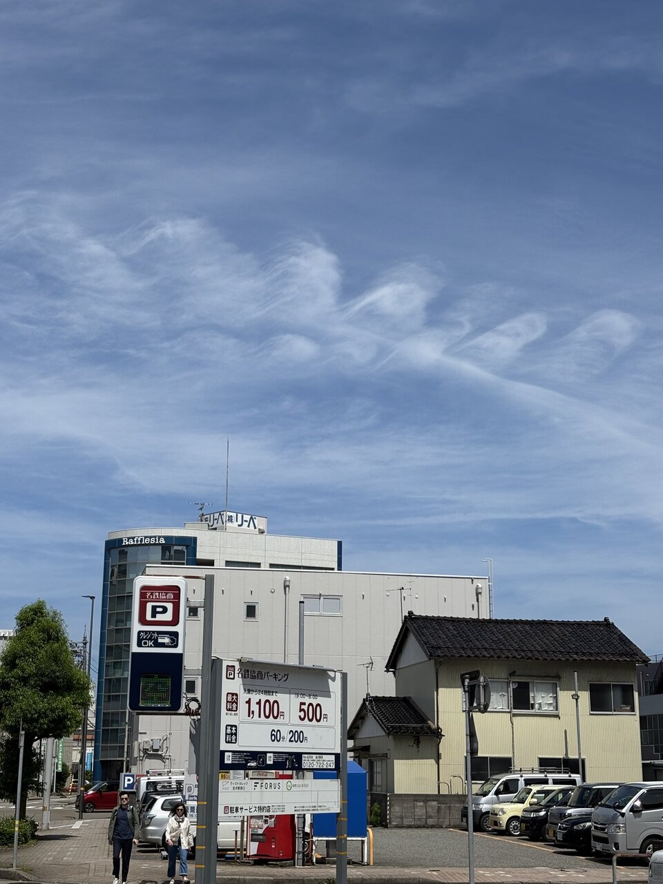 巻雲の波頭雲(fluctus) : 雲三昧 -雲と空の記録と独り言-