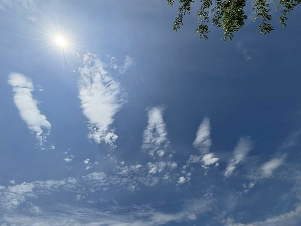 巻積雲の波状雲 : 雲三昧 -雲と空の記録と独り言-