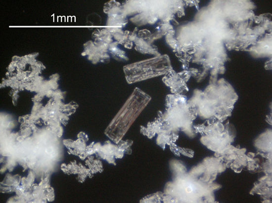 アラスカへの旅 その５ 雪結晶を撮る : 雲三昧 -雲と空の記録と独り言-