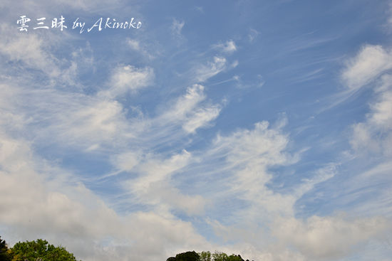 今日の空 尾を引く雲達 雲三昧 雲と空の記録と独り言