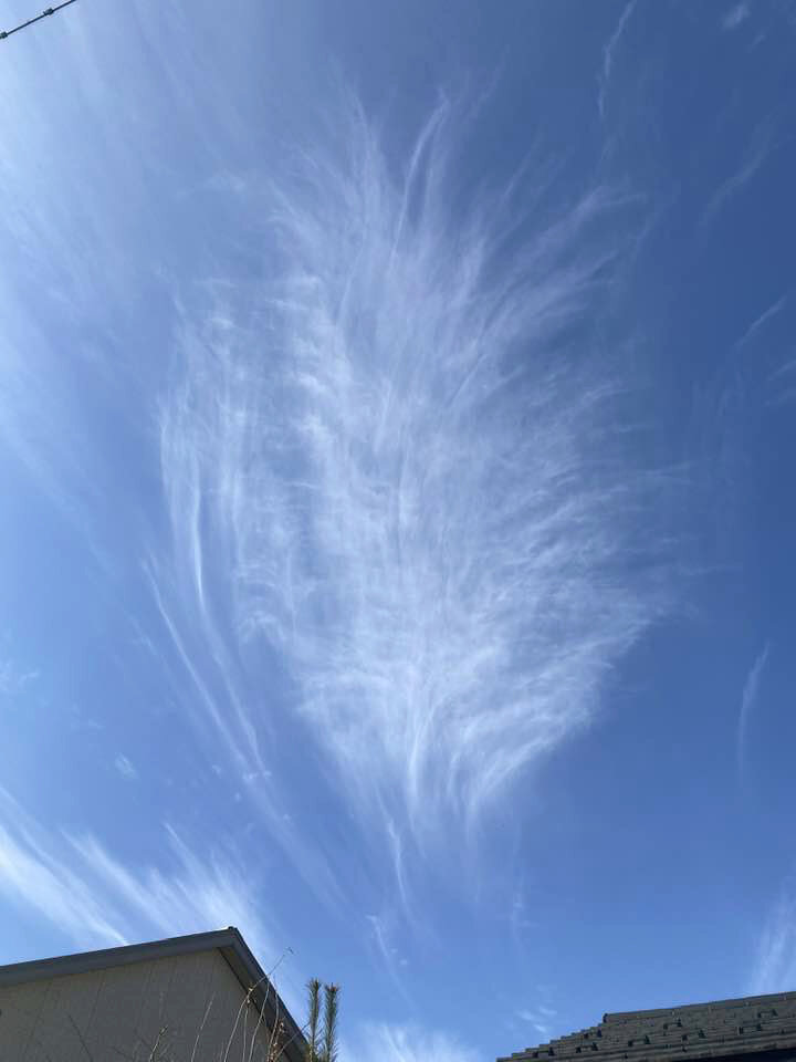 巻雲の1日 羽毛のような巻雲 : 雲三昧 -雲と空の記録と独り言-
