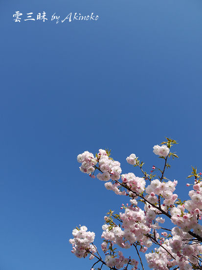 イメージ 1